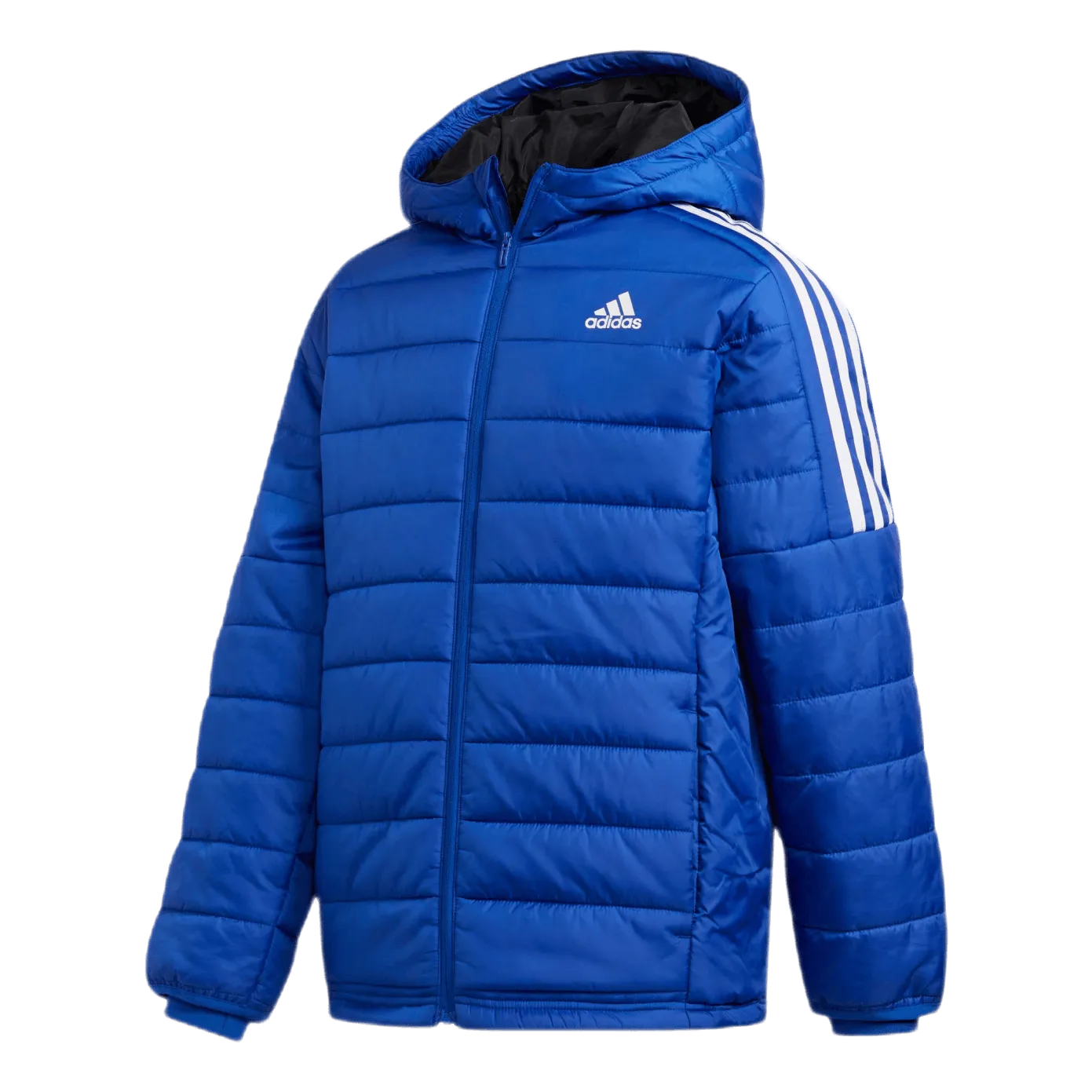 Adidas Puffer Jacket Team Royal Blue