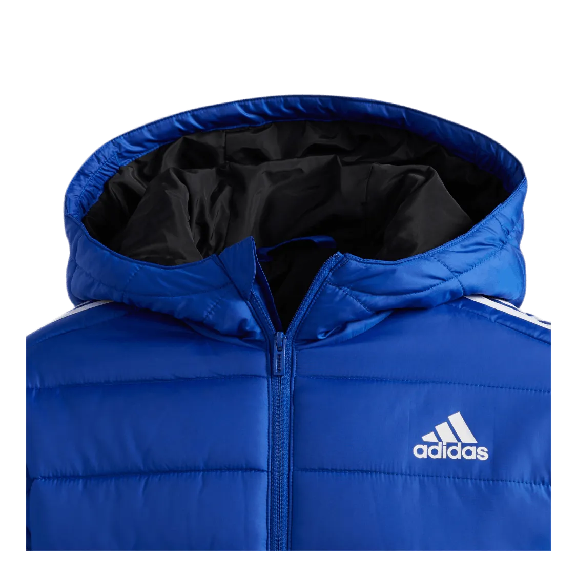 Adidas Puffer Jacket Team Royal Blue