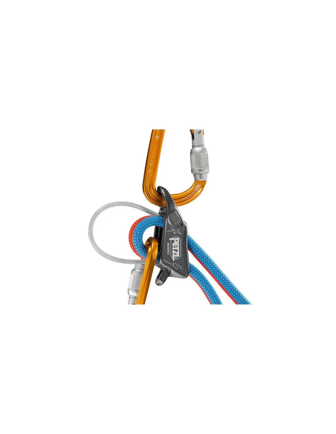 ASEGURADORDESCENSOR PETZL REVERSO® ROJO/NARANJA