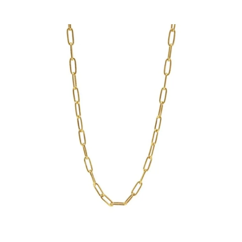 Collar Link Oro (45 a 53cm)