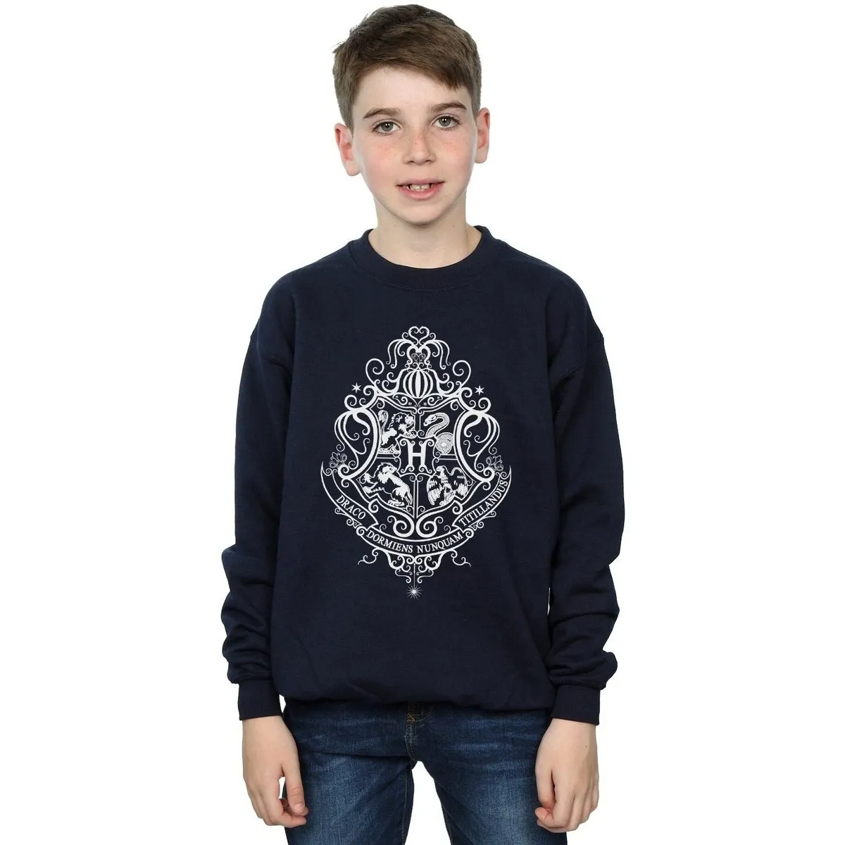 Hogwarts Draco Dormiens Crest