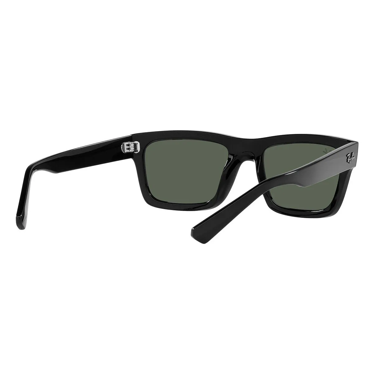 Occhiali da Sole  Warren RB4396 667771