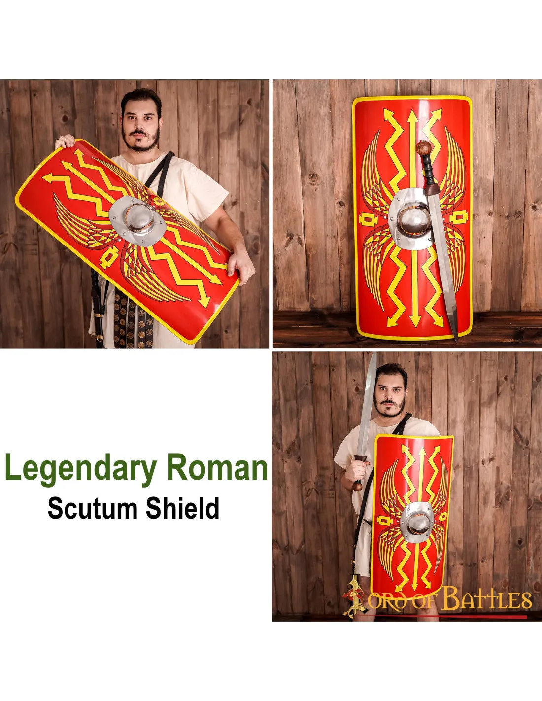 Scutum Romano decorativo con Umbo de acero (54,5 cm.)
