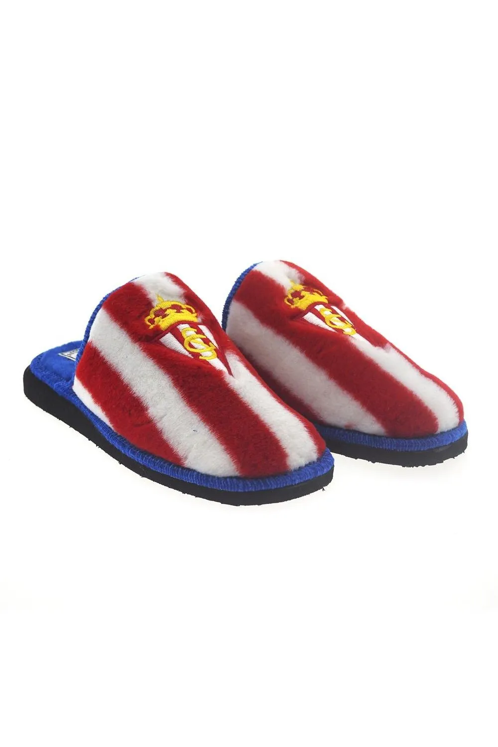 ZAPATILLAS OTOñOINVIERNO ANDINAS SPORTING 799160